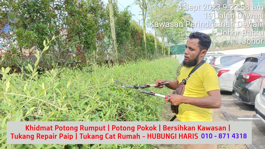 3 khidmat servis kerja ambik kontrak trim dan cantas pokok renek dan kecil cantikkan kawasan penjagaan halaman kawasan mutiara rini