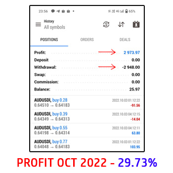 menjana profit setiap bulan secara konsisten dari trading dengan copytrade bersama cikgu roslee october 2022