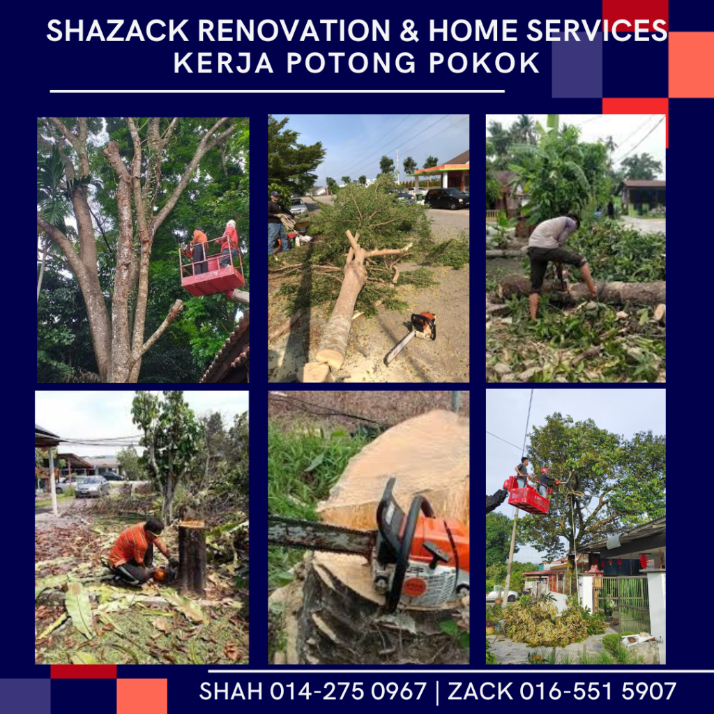 kontraktor perkhidmatan kerja potong tebang trim dan cantikkan pokok di larkin